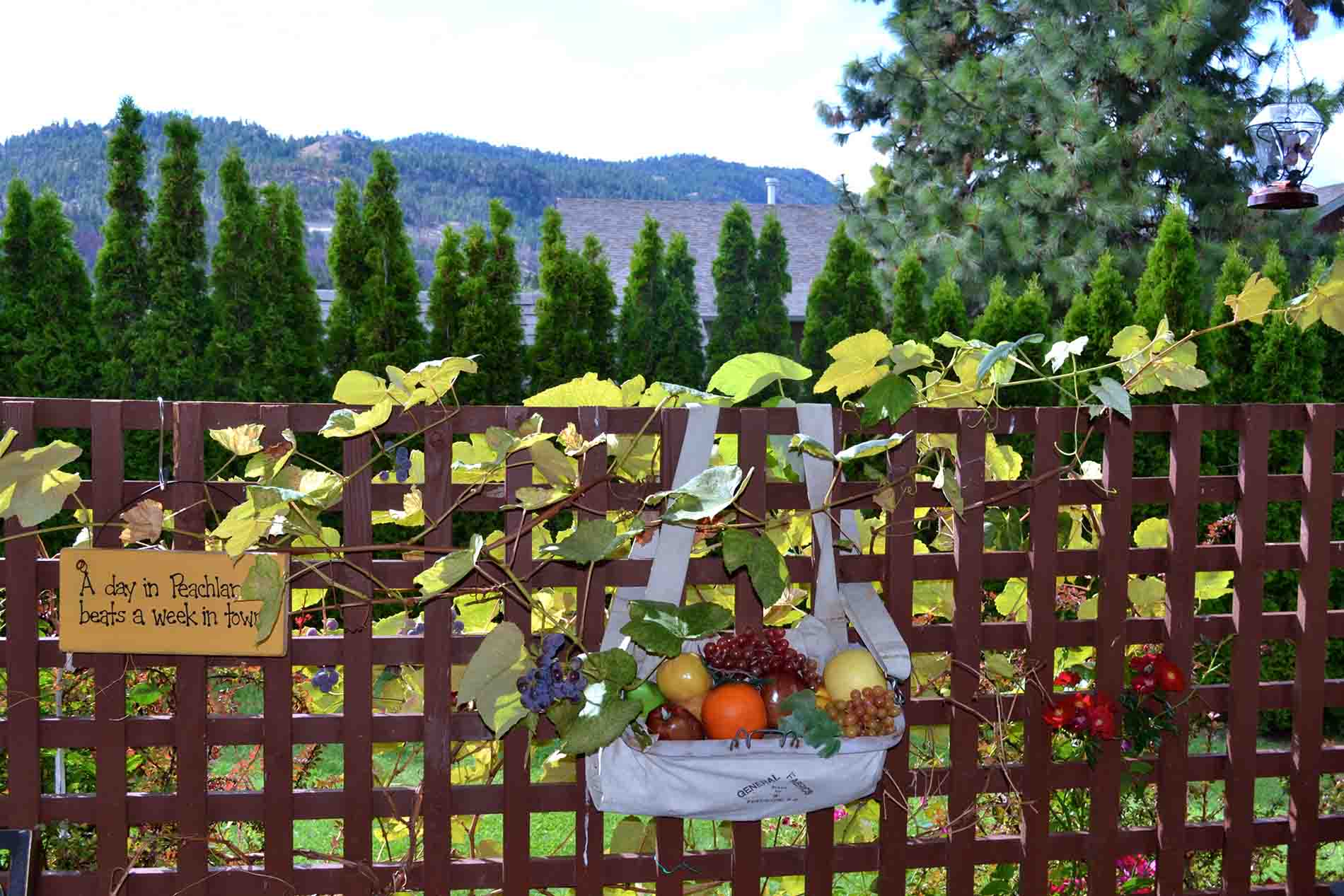 A Day in Peachland